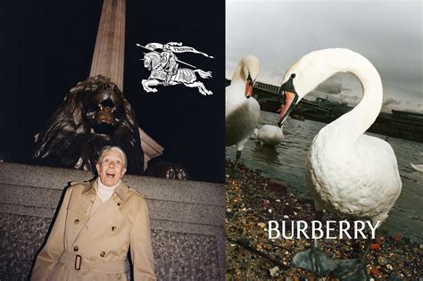 burberry daniel lee campaign|Burberry typeface.